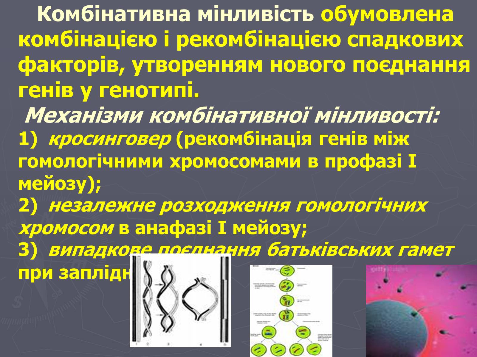 Презентація на тему «Мінливість» (варіант 1) - Слайд #8 Презентація на тему «Мінливість» (варіант 1) - Слайд #8
