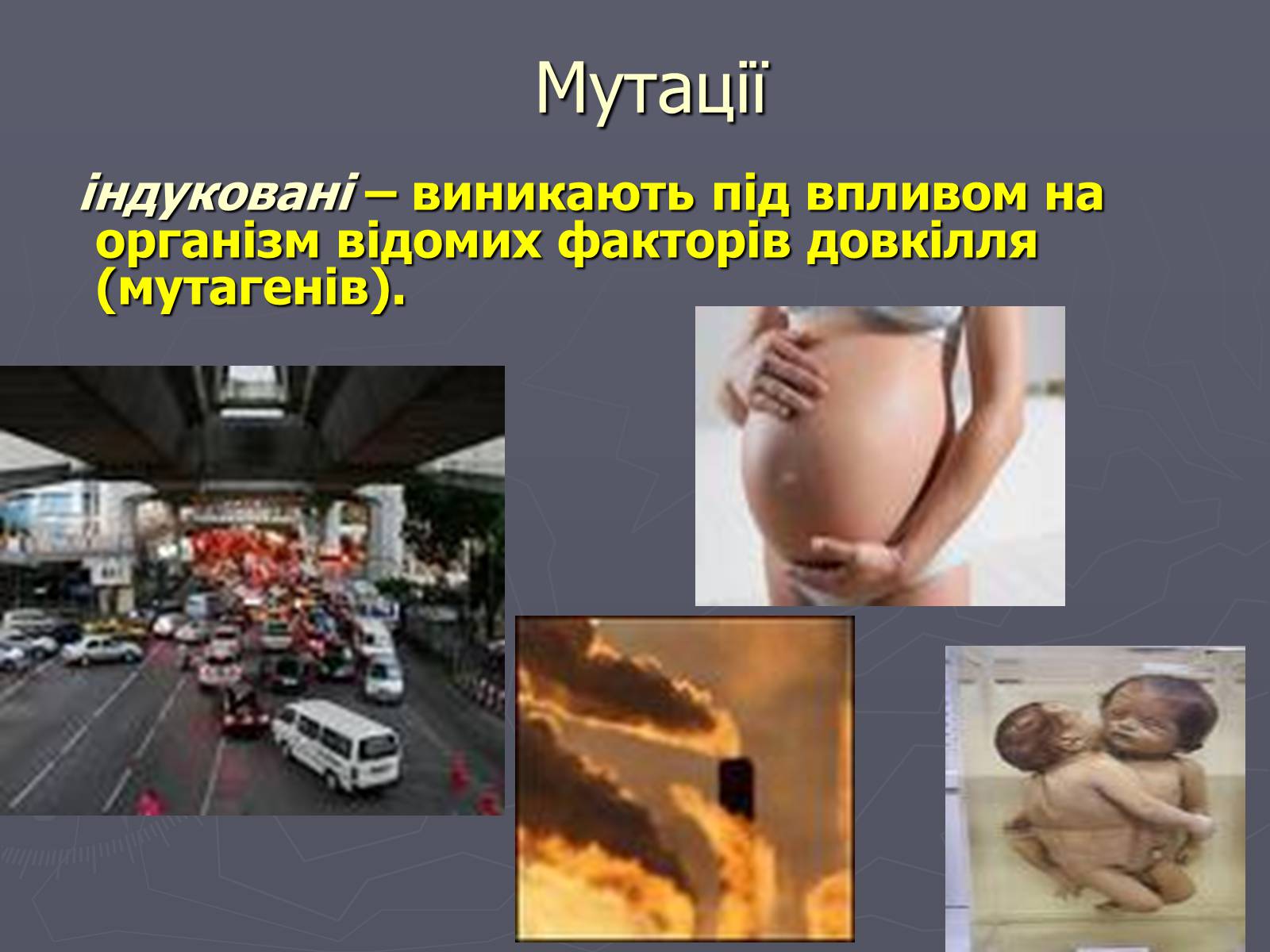 Презентація на тему «Мінливість» (варіант 1) - Слайд #9 Презентація на тему «Мінливість» (варіант 1) - Слайд #9