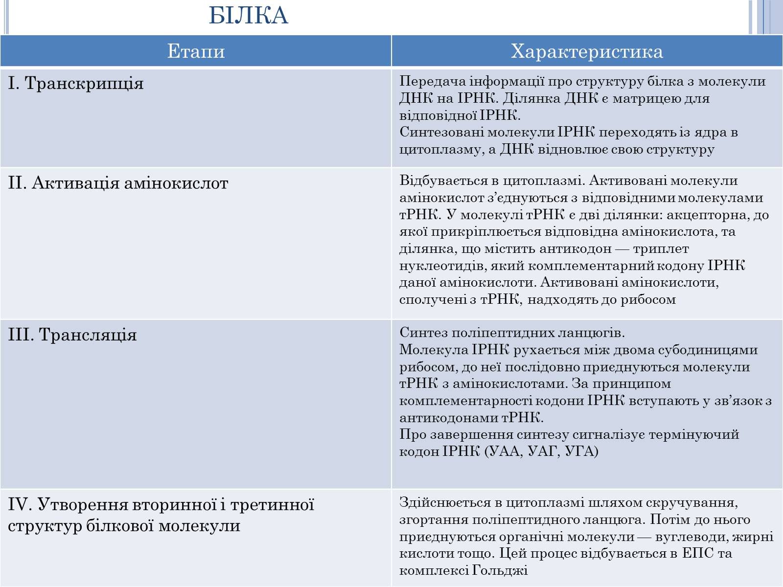 Презентація на тему «Біосинтез білків» - Слайд #8 Презентація на тему «Біосинтез білків» - Слайд #8