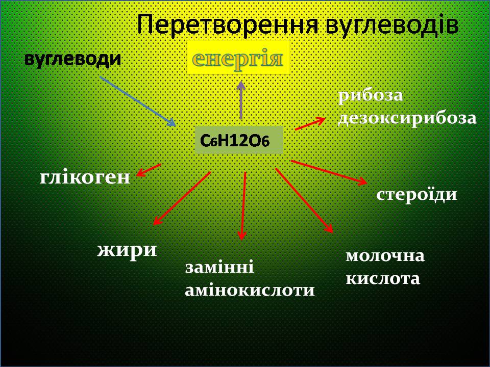 Презентація на тему «Жири, вуглеводи, білки, вітаміни як компоненти їжі» (варіант 2) - Слайд #16 Презентація на тему «Жири, вуглеводи, білки, вітаміни як компоненти їжі» (варіант 2) - Слайд #16