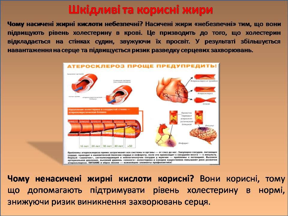 Презентація на тему «Жири, вуглеводи, білки, вітаміни як компоненти їжі» (варіант 2) - Слайд #7 Презентація на тему «Жири, вуглеводи, білки, вітаміни як компоненти їжі» (варіант 2) - Слайд #7