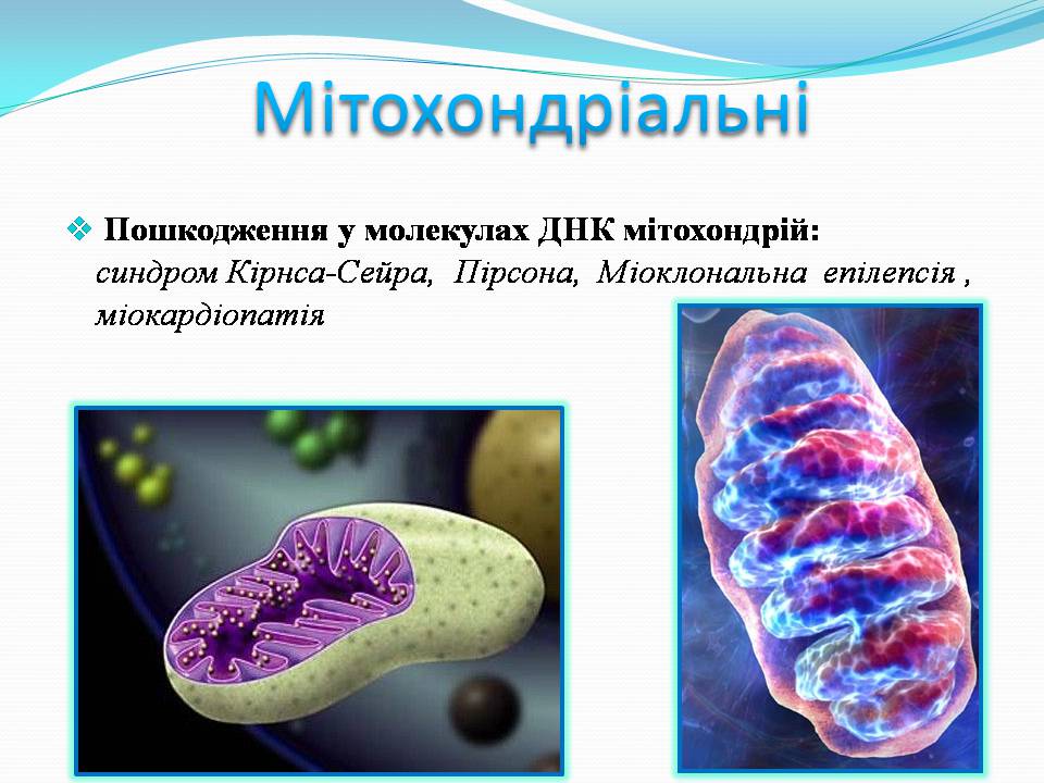 Презентація на тему «Генетичні захворювання» (варіант 2) - Слайд #19 Презентація на тему «Генетичні захворювання» (варіант 2) - Слайд #19