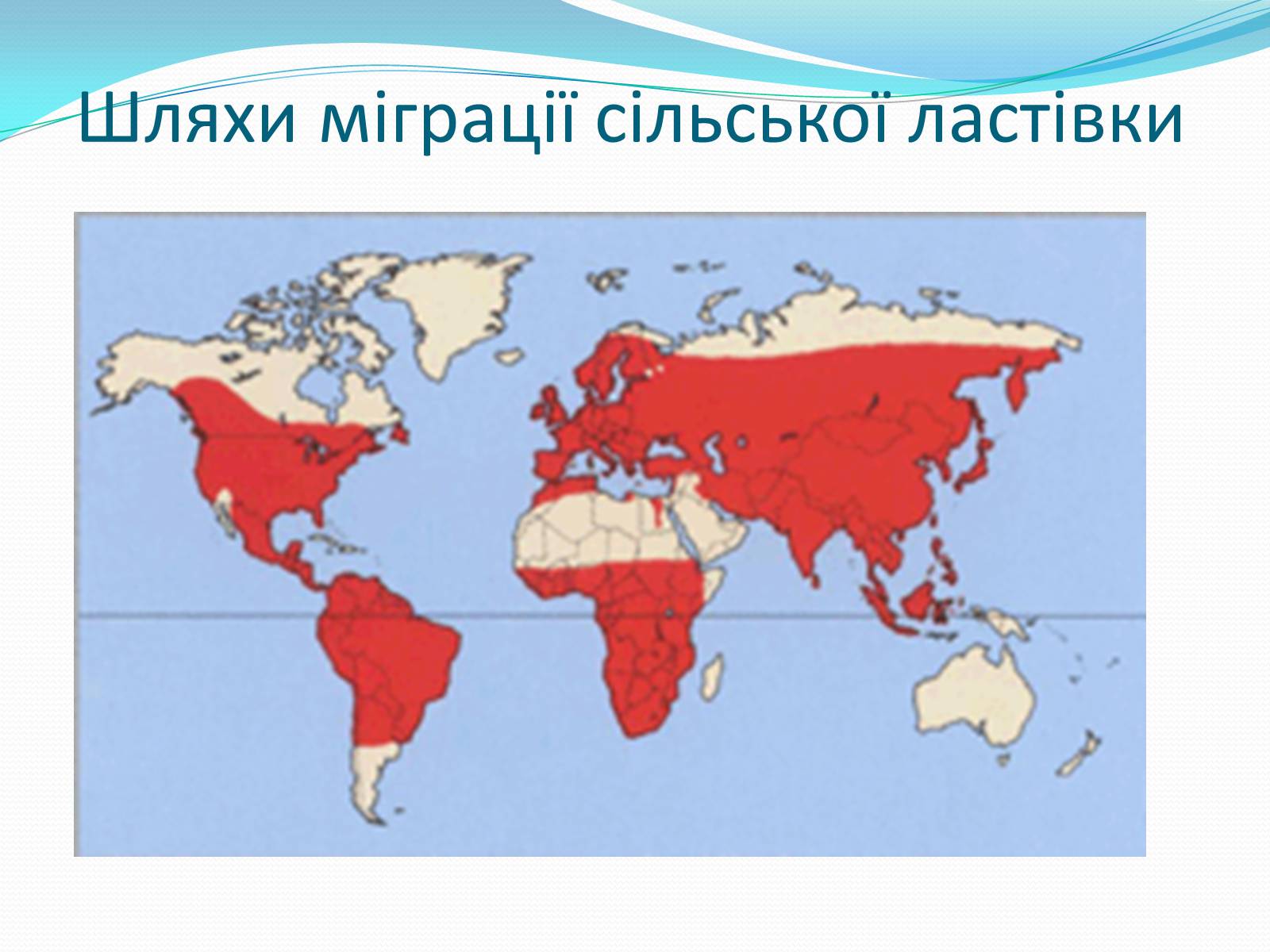 Презентація на тему «Перелітні птахи» - Слайд #11 Презентація на тему «Перелітні птахи» - Слайд #11