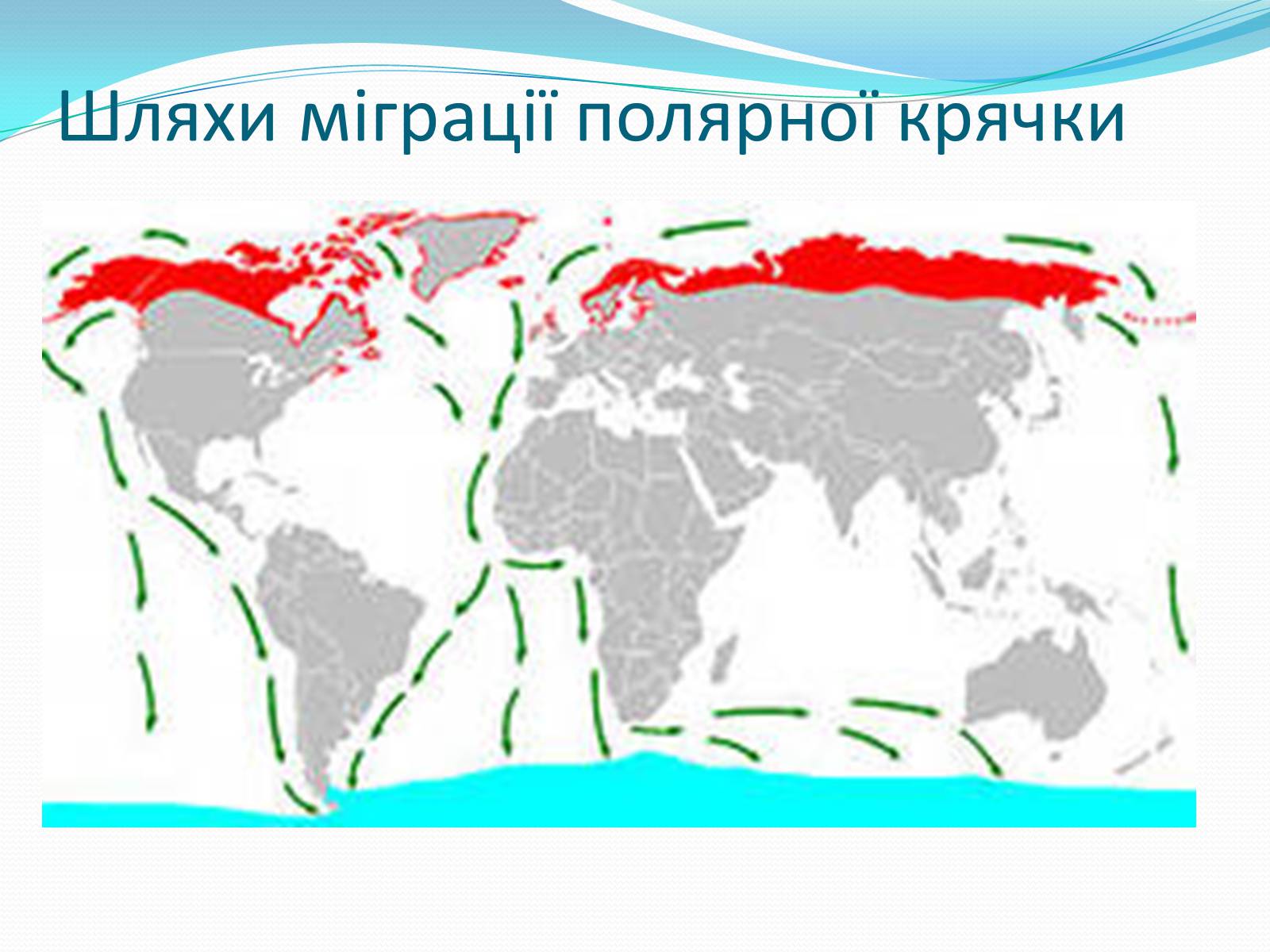 Презентація на тему «Перелітні птахи» - Слайд #12 Презентація на тему «Перелітні птахи» - Слайд #12