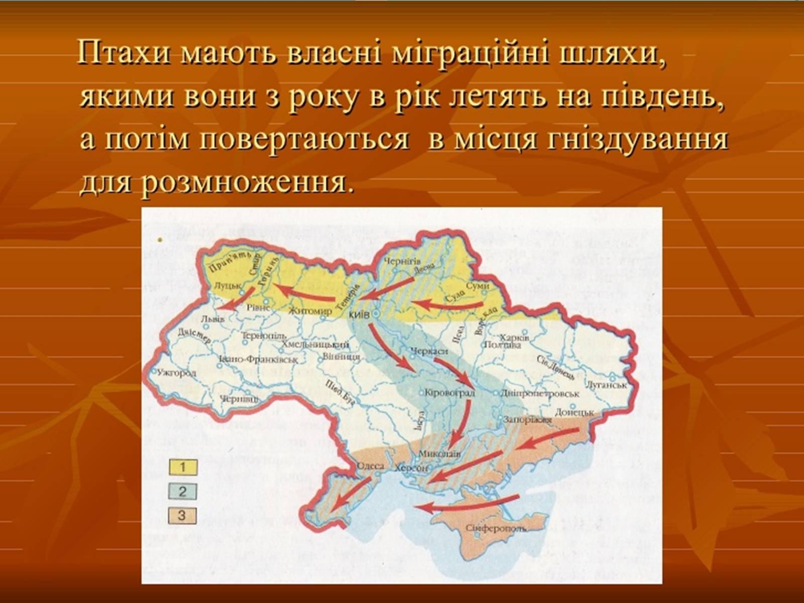 Презентація на тему «Перелітні птахи» - Слайд #17 Презентація на тему «Перелітні птахи» - Слайд #17