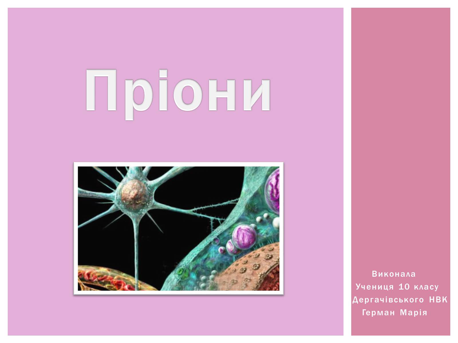 Презентація на тему «Пріони» (варіант 1) - Слайд #1 Презентація на тему «Пріони» (варіант 1) - Слайд #1