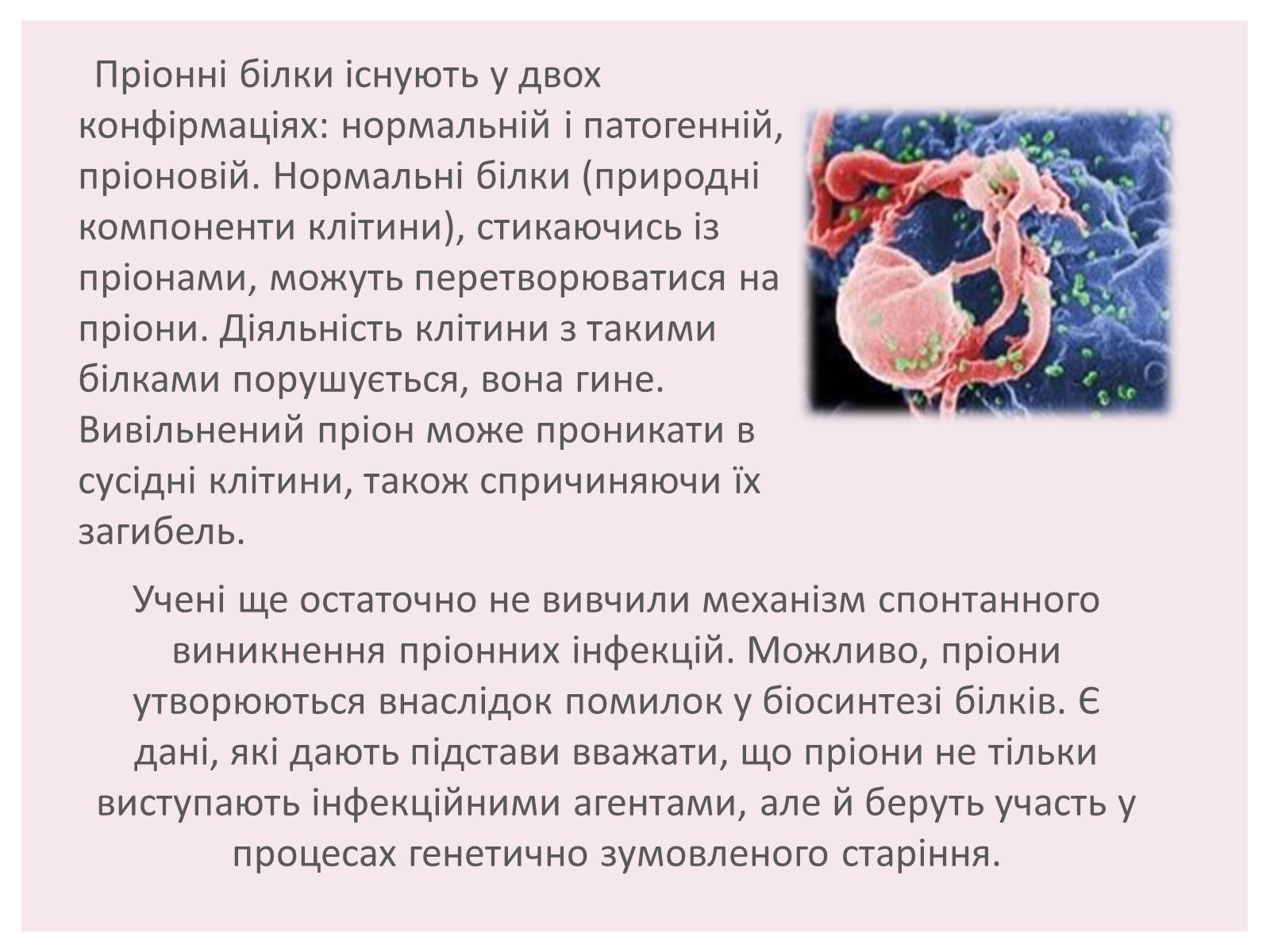 Презентація на тему «Пріони» (варіант 1) - Слайд #5 Презентація на тему «Пріони» (варіант 1) - Слайд #5
