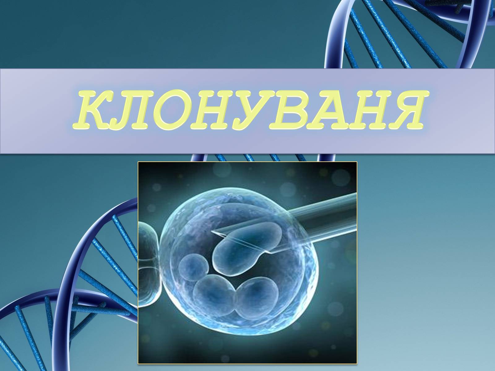 Презентація на тему «Клонування» (варіант 8) - Слайд #1 Презентація на тему «Клонування» (варіант 8) - Слайд #1