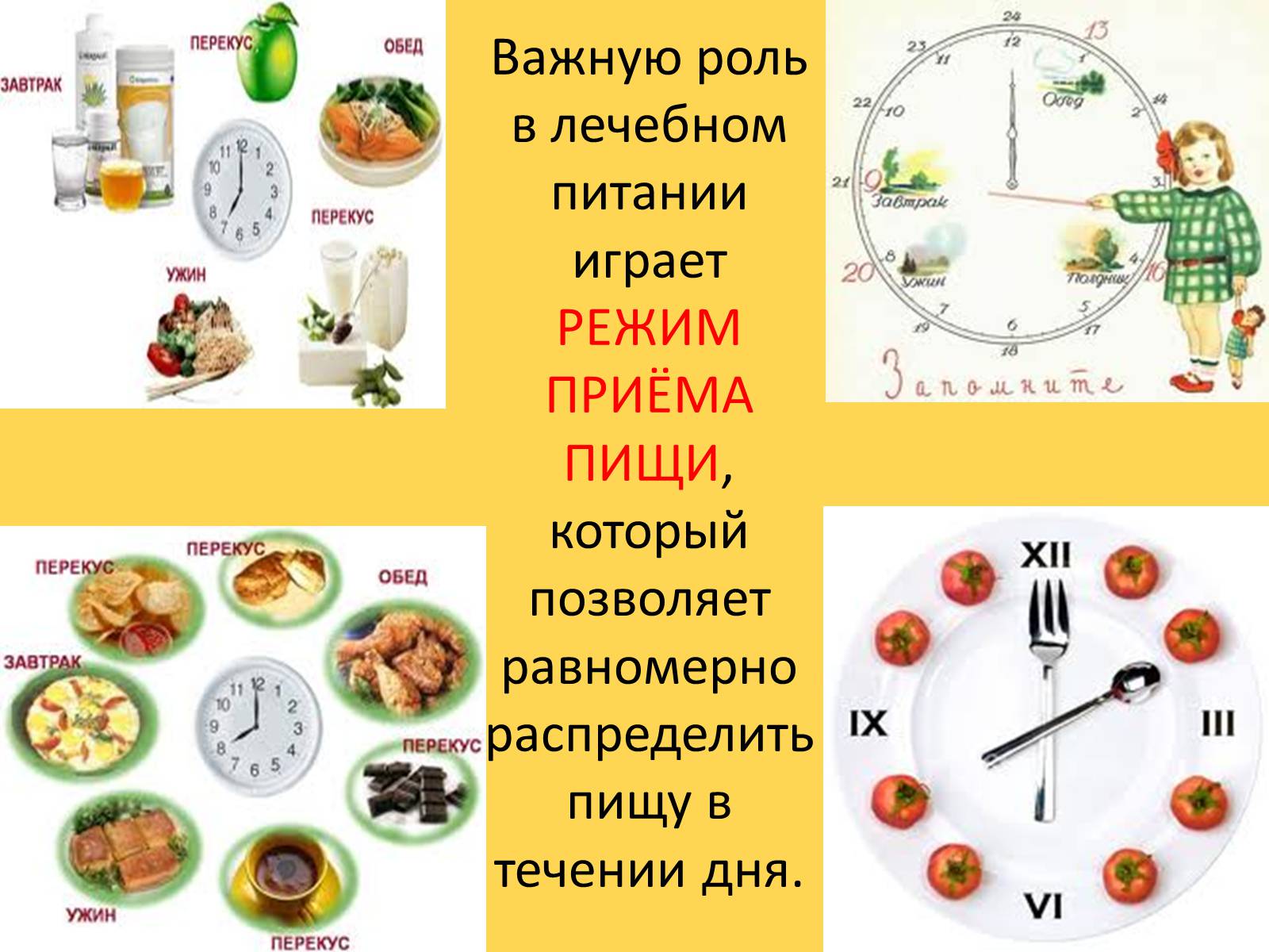 Презентація на тему «Лечебное питание» - Слайд #18 Презентація на тему «Лечебное питание» - Слайд #18