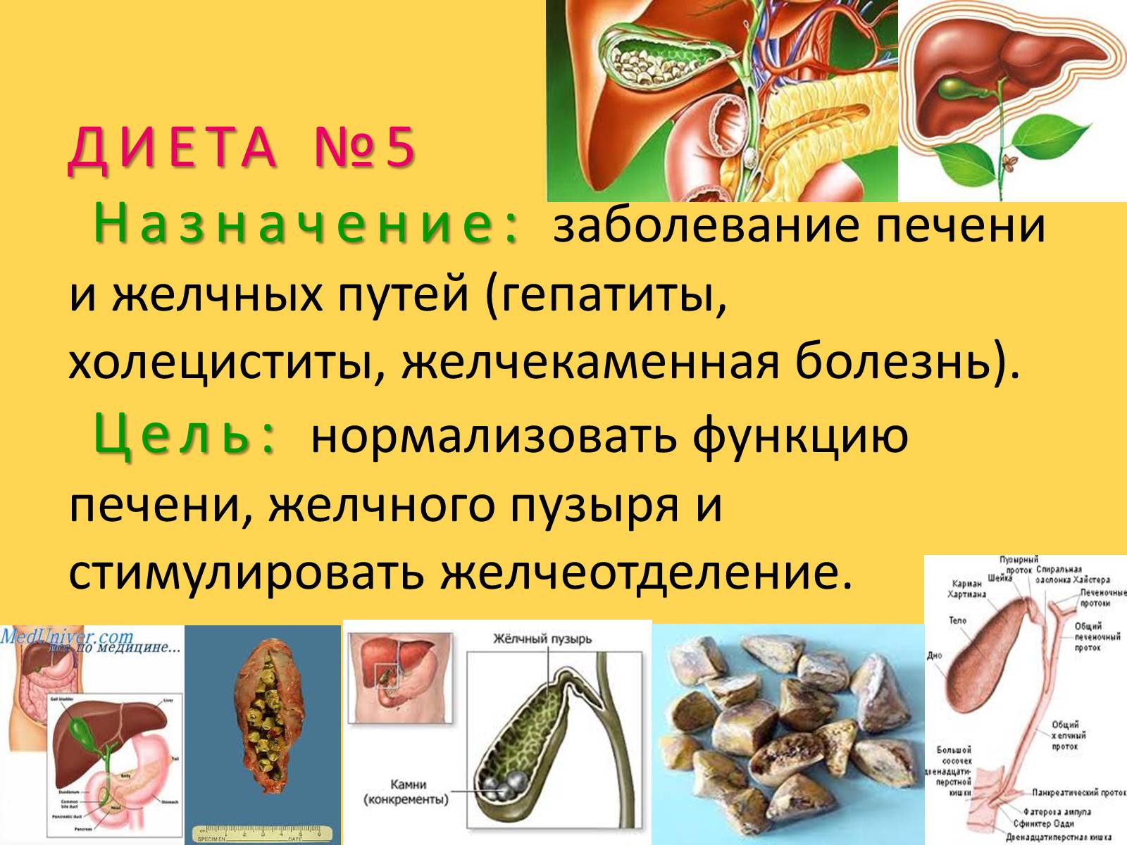 Презентація на тему «Лечебное питание» - Слайд #41 Презентація на тему «Лечебное питание» - Слайд #41