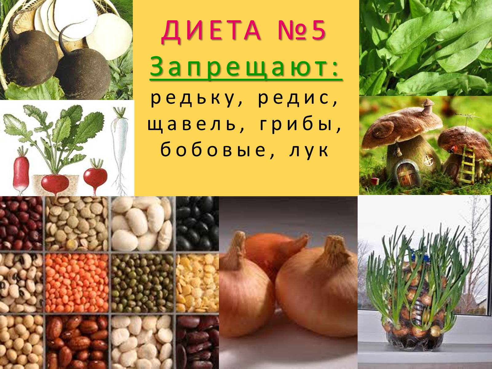 Презентація на тему «Лечебное питание» - Слайд #43 Презентація на тему «Лечебное питание» - Слайд #43