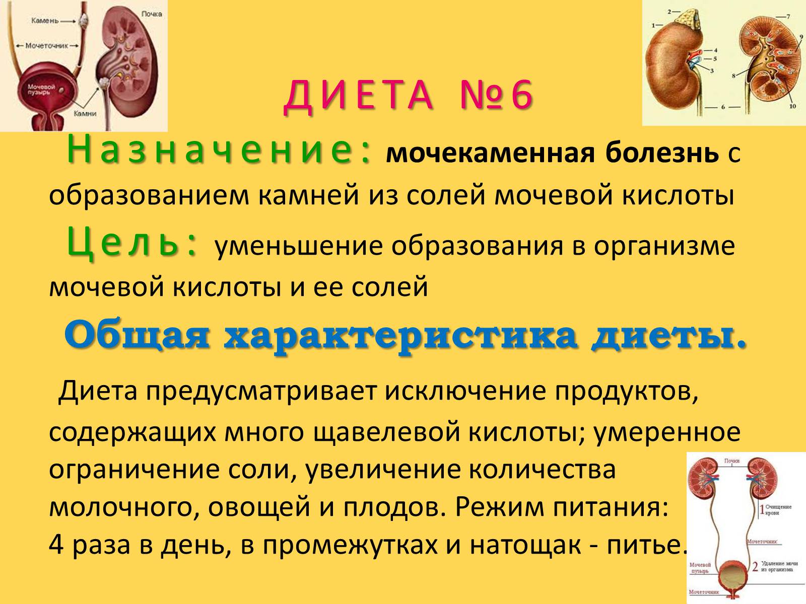 Презентація на тему «Лечебное питание» - Слайд #48 Презентація на тему «Лечебное питание» - Слайд #48