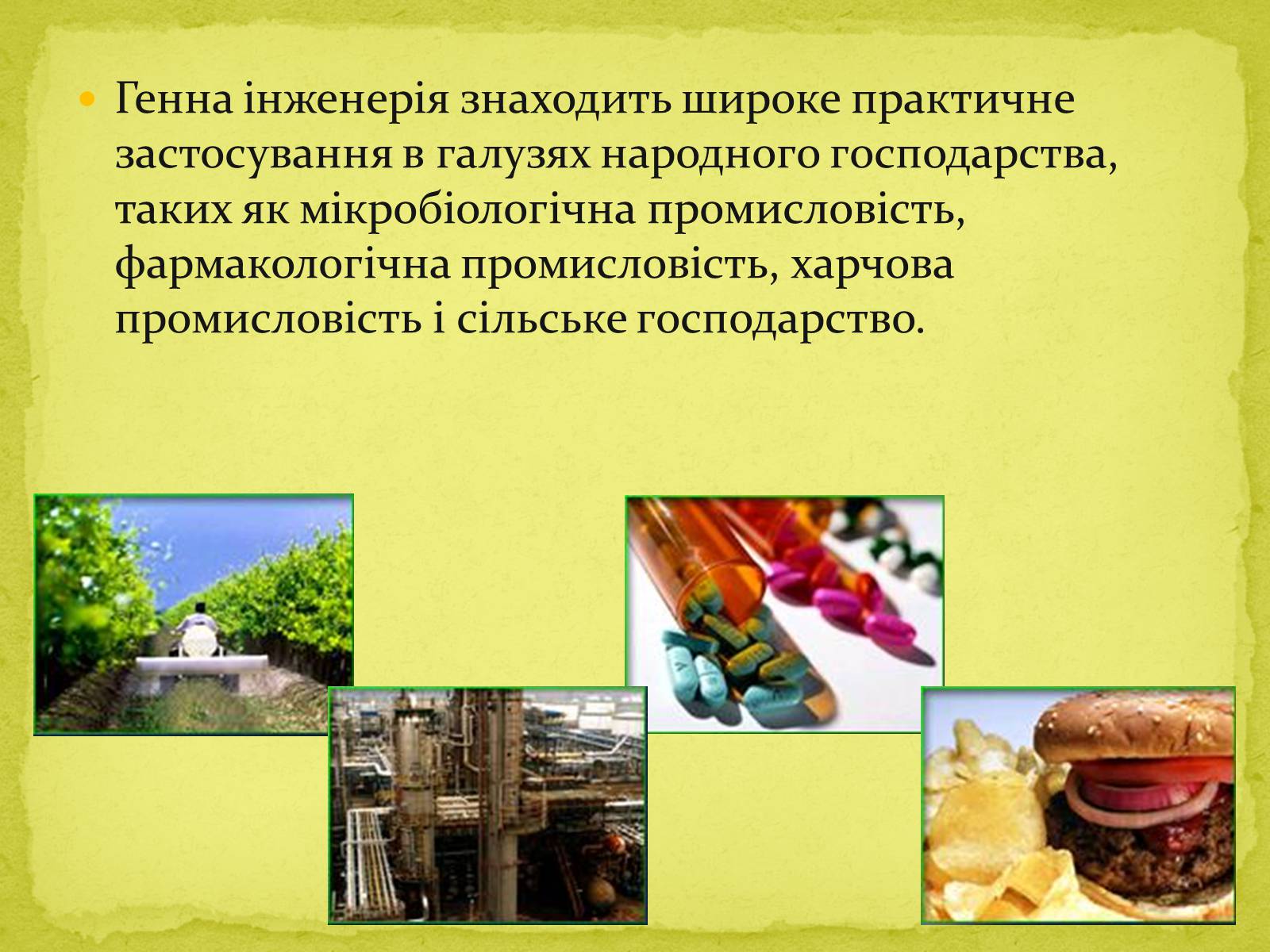 Презентація на тему «Біотехнології, завдання та методи генної та клітинної інженерії, клонування» - Слайд #12 Презентація на тему «Біотехнології, завдання та методи генної та клітинної інженерії, клонування» - Слайд #12
