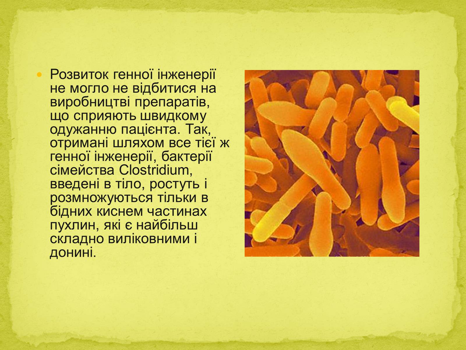 Презентація на тему «Біотехнології, завдання та методи генної та клітинної інженерії, клонування» - Слайд #15 Презентація на тему «Біотехнології, завдання та методи генної та клітинної інженерії, клонування» - Слайд #15