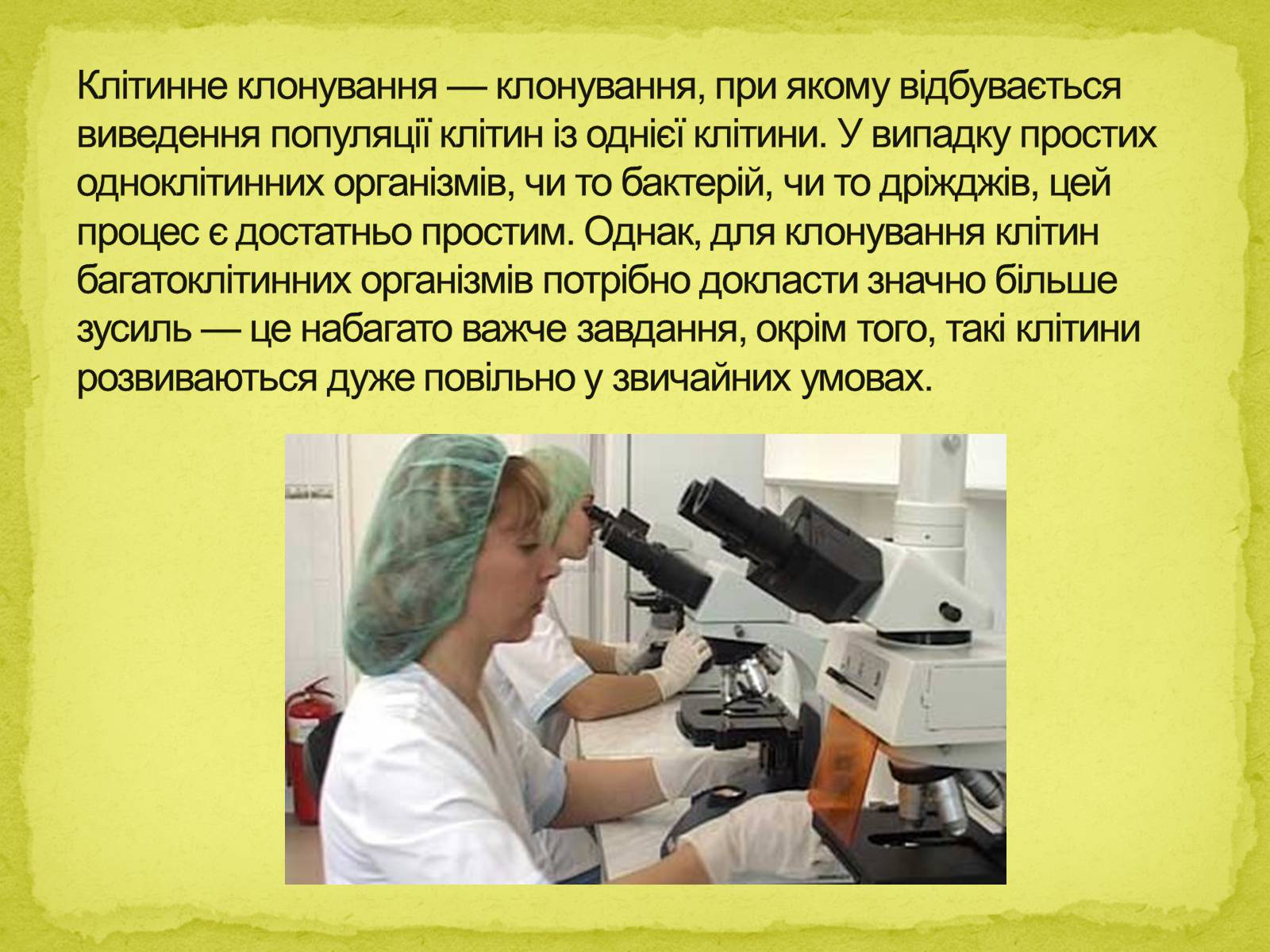 Презентація на тему «Біотехнології, завдання та методи генної та клітинної інженерії, клонування» - Слайд #18 Презентація на тему «Біотехнології, завдання та методи генної та клітинної інженерії, клонування» - Слайд #18
