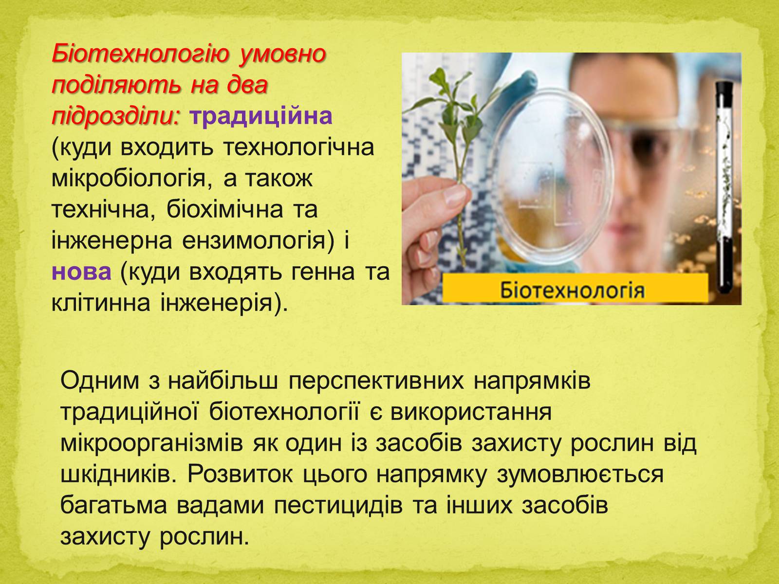 Презентація на тему «Біотехнології, завдання та методи генної та клітинної інженерії, клонування» - Слайд #4 Презентація на тему «Біотехнології, завдання та методи генної та клітинної інженерії, клонування» - Слайд #4