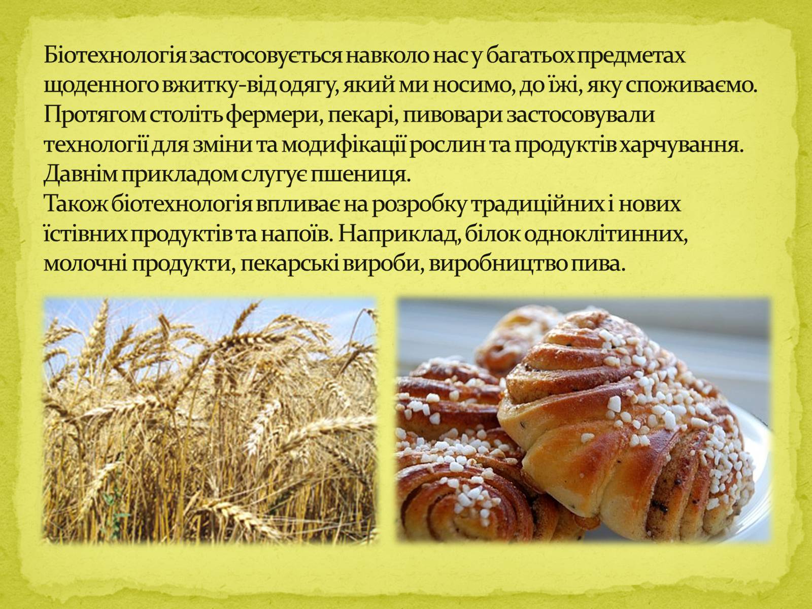 Презентація на тему «Біотехнології, завдання та методи генної та клітинної інженерії, клонування» - Слайд #6 Презентація на тему «Біотехнології, завдання та методи генної та клітинної інженерії, клонування» - Слайд #6