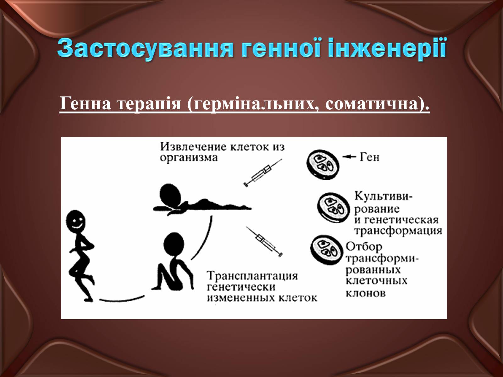 Презентація на тему «Досягнення сучасної біотехнології» - Слайд #11 Презентація на тему «Досягнення сучасної біотехнології» - Слайд #11