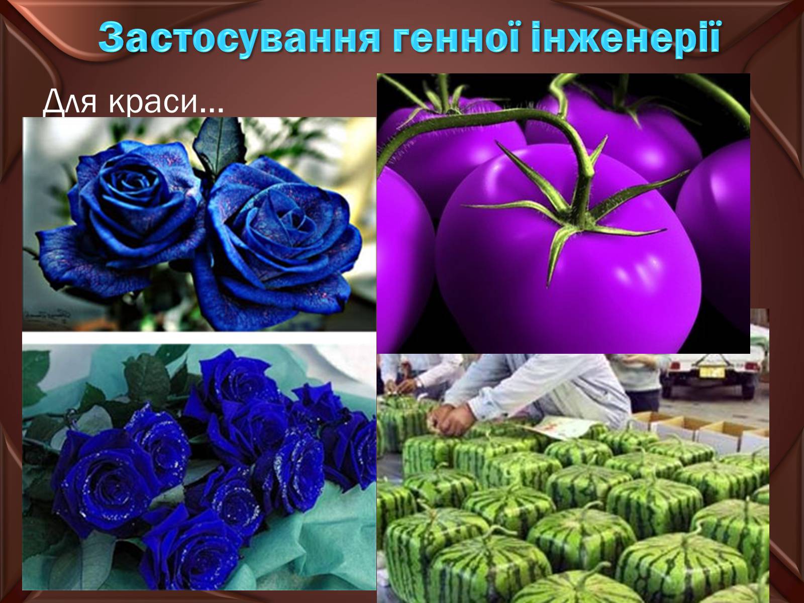 Презентація на тему «Досягнення сучасної біотехнології» - Слайд #12 Презентація на тему «Досягнення сучасної біотехнології» - Слайд #12