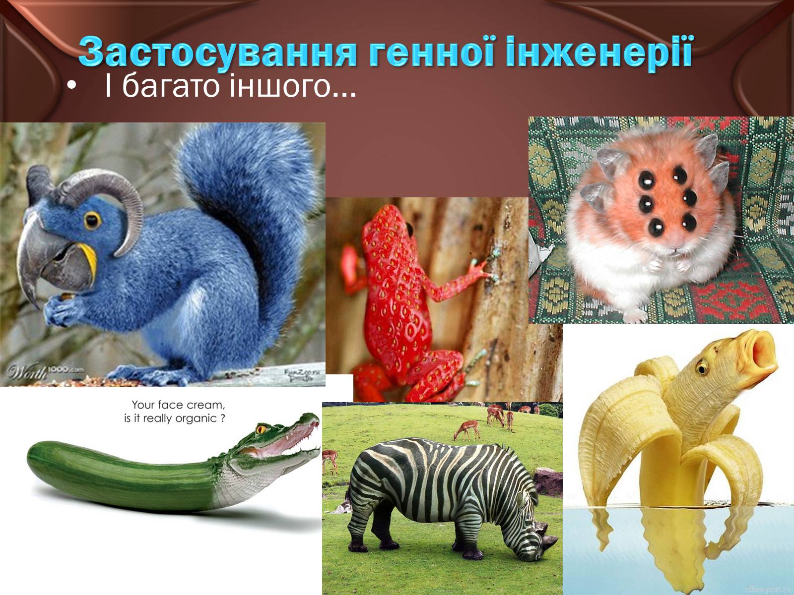 Презентація на тему «Досягнення сучасної біотехнології» - Слайд #13 Презентація на тему «Досягнення сучасної біотехнології» - Слайд #13