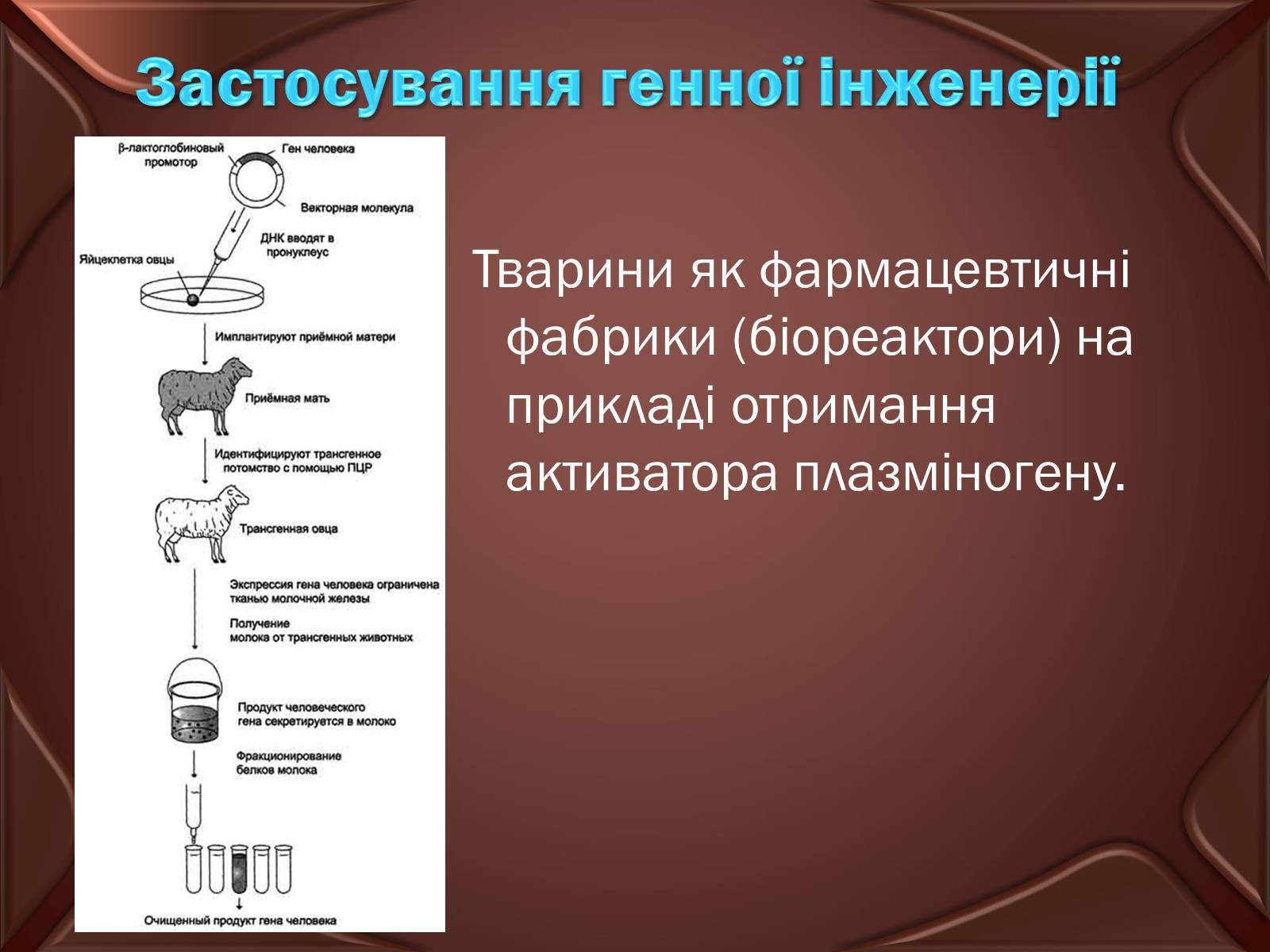 Презентація на тему «Досягнення сучасної біотехнології» - Слайд #9 Презентація на тему «Досягнення сучасної біотехнології» - Слайд #9