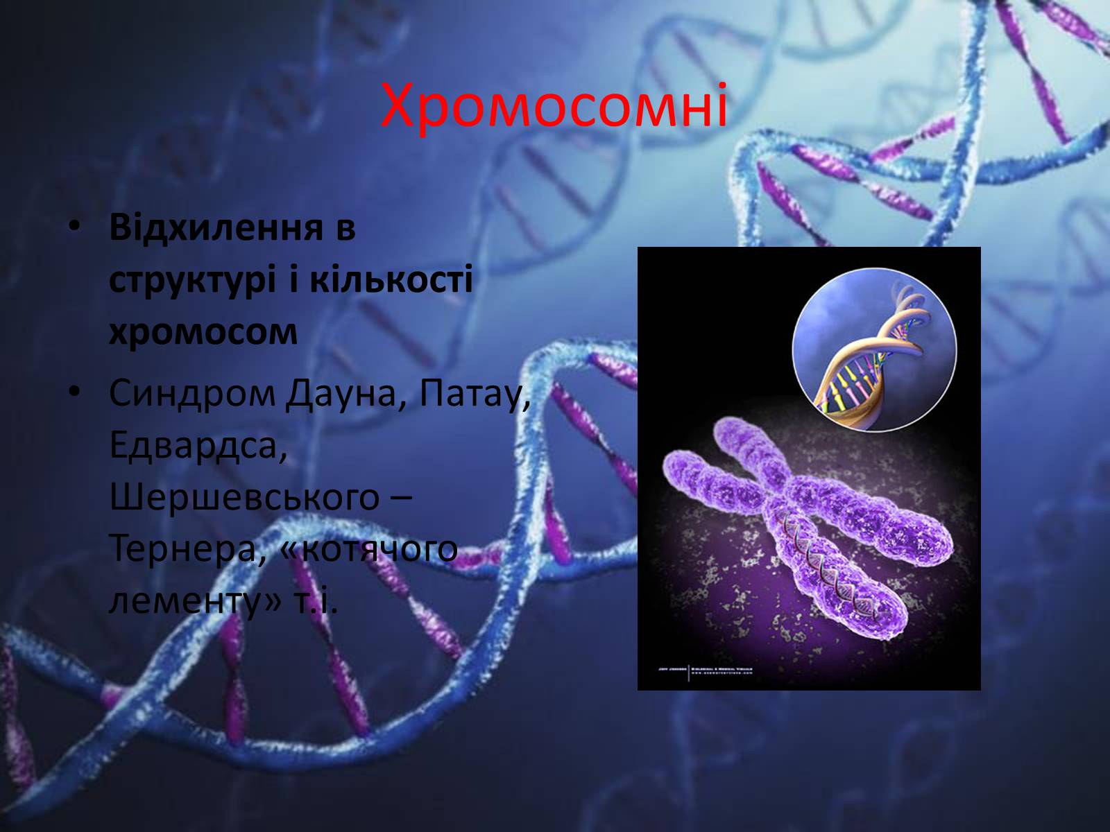 Презентація на тему «Генетичні захворювання людини» - Слайд #12 Презентація на тему «Генетичні захворювання людини» - Слайд #12