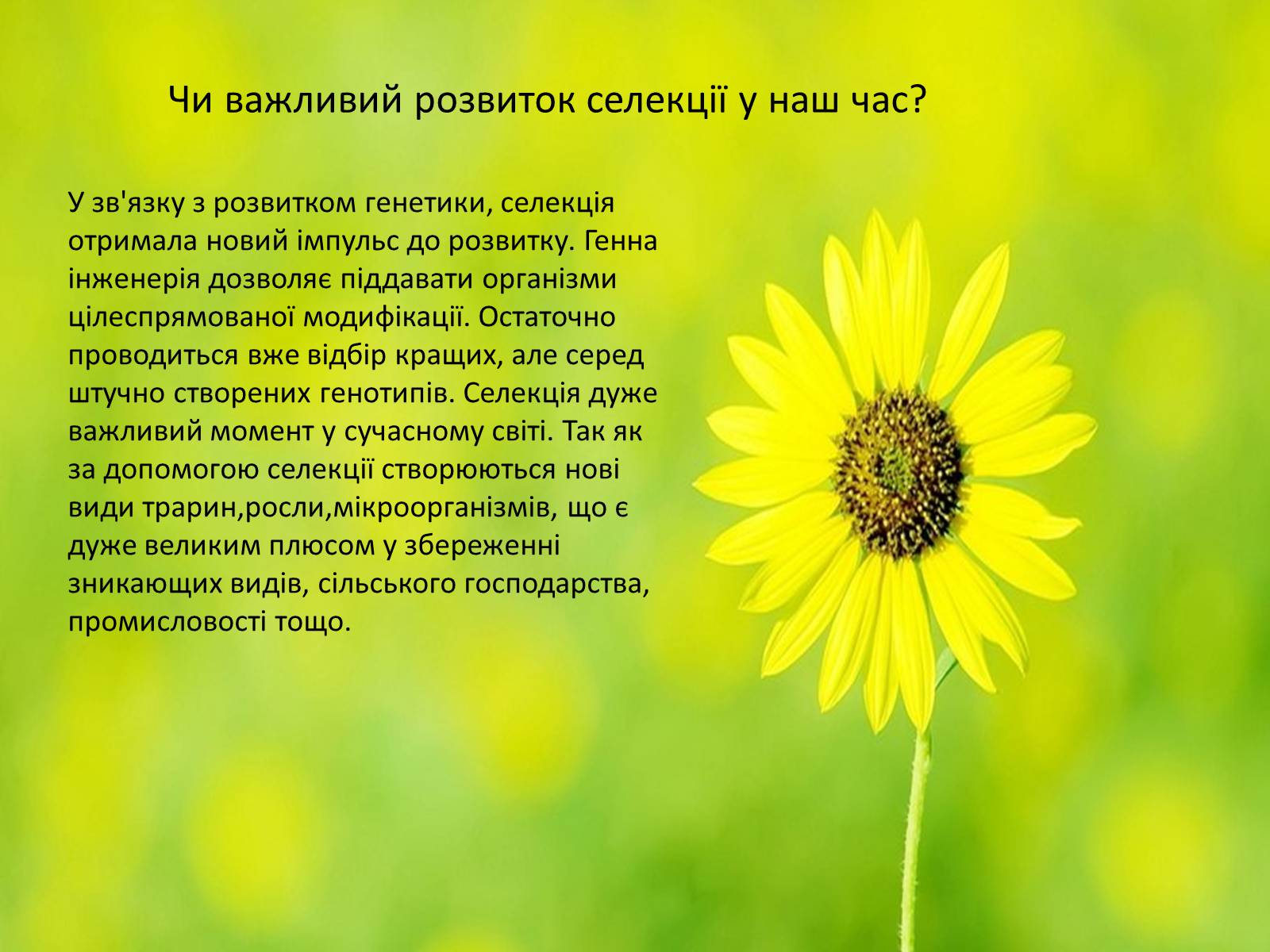 Презентація на тему «Селекція» (варіант 7) - Слайд #10 Презентація на тему «Селекція» (варіант 7) - Слайд #10