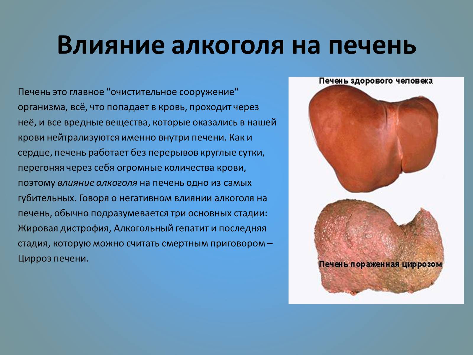 Презентація на тему «Воздействие вредных веществ на организм человека» - Слайд #12 Презентація на тему «Воздействие вредных веществ на организм человека» - Слайд #12