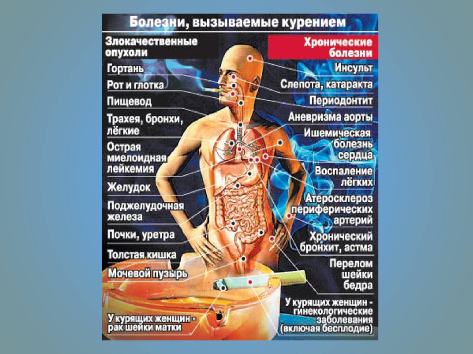 Презентація на тему «Воздействие вредных веществ на организм человека» - Слайд #50 Презентація на тему «Воздействие вредных веществ на организм человека» - Слайд #50