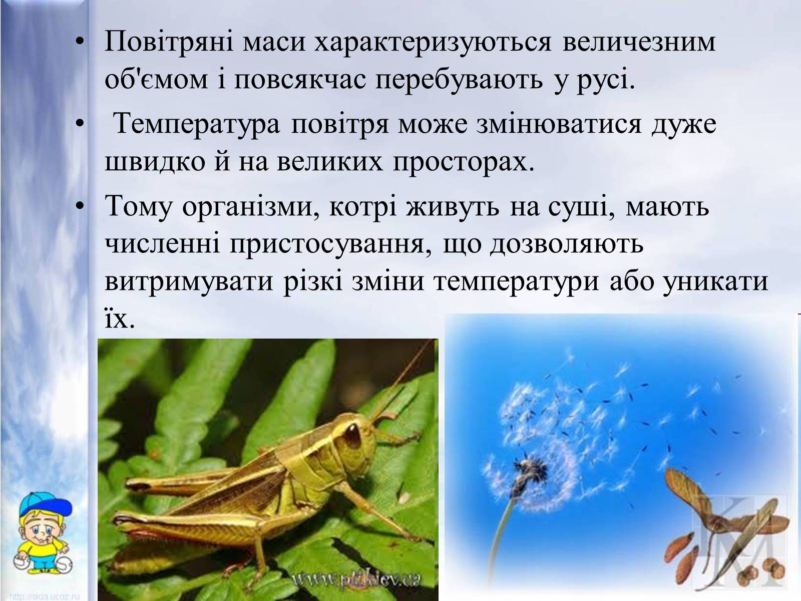 Презентація на тему «Середовища існування тварин» - Слайд #11 Презентація на тему «Середовища існування тварин» - Слайд #11