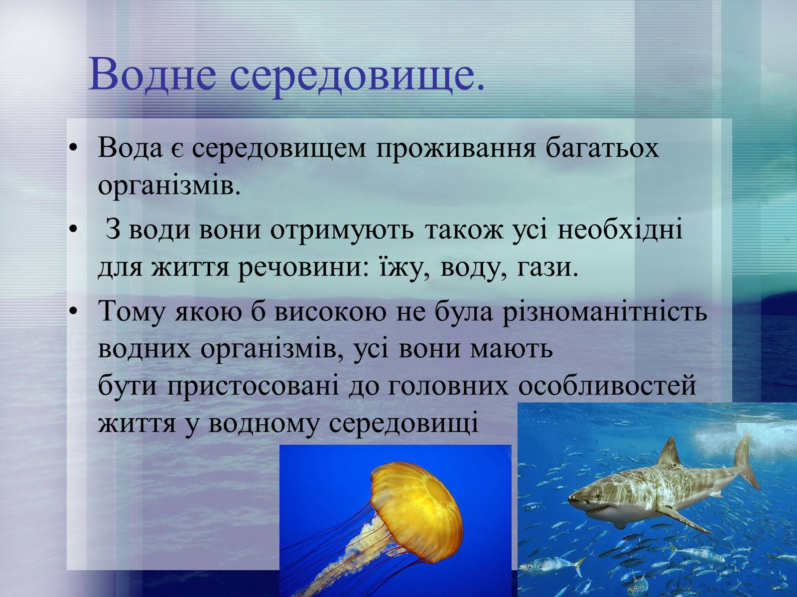 Презентація на тему «Середовища існування тварин» - Слайд #7 Презентація на тему «Середовища існування тварин» - Слайд #7