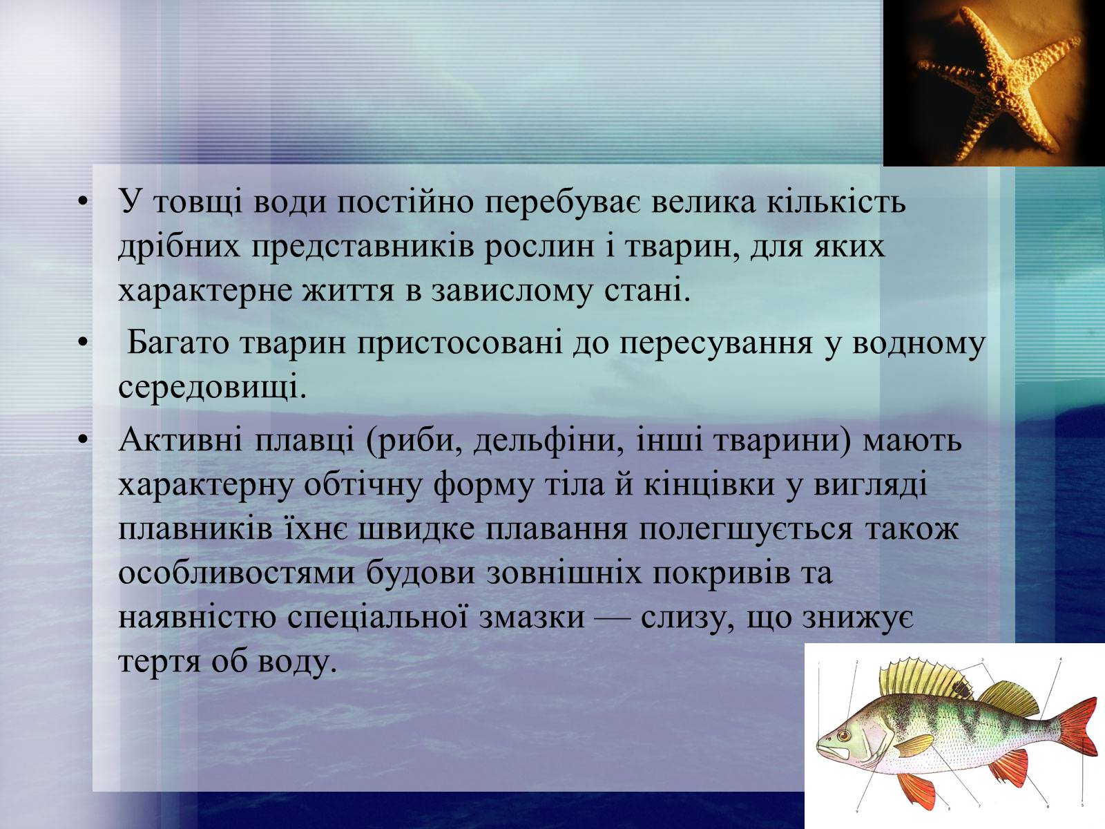 Презентація на тему «Середовища існування тварин» - Слайд #8 Презентація на тему «Середовища існування тварин» - Слайд #8