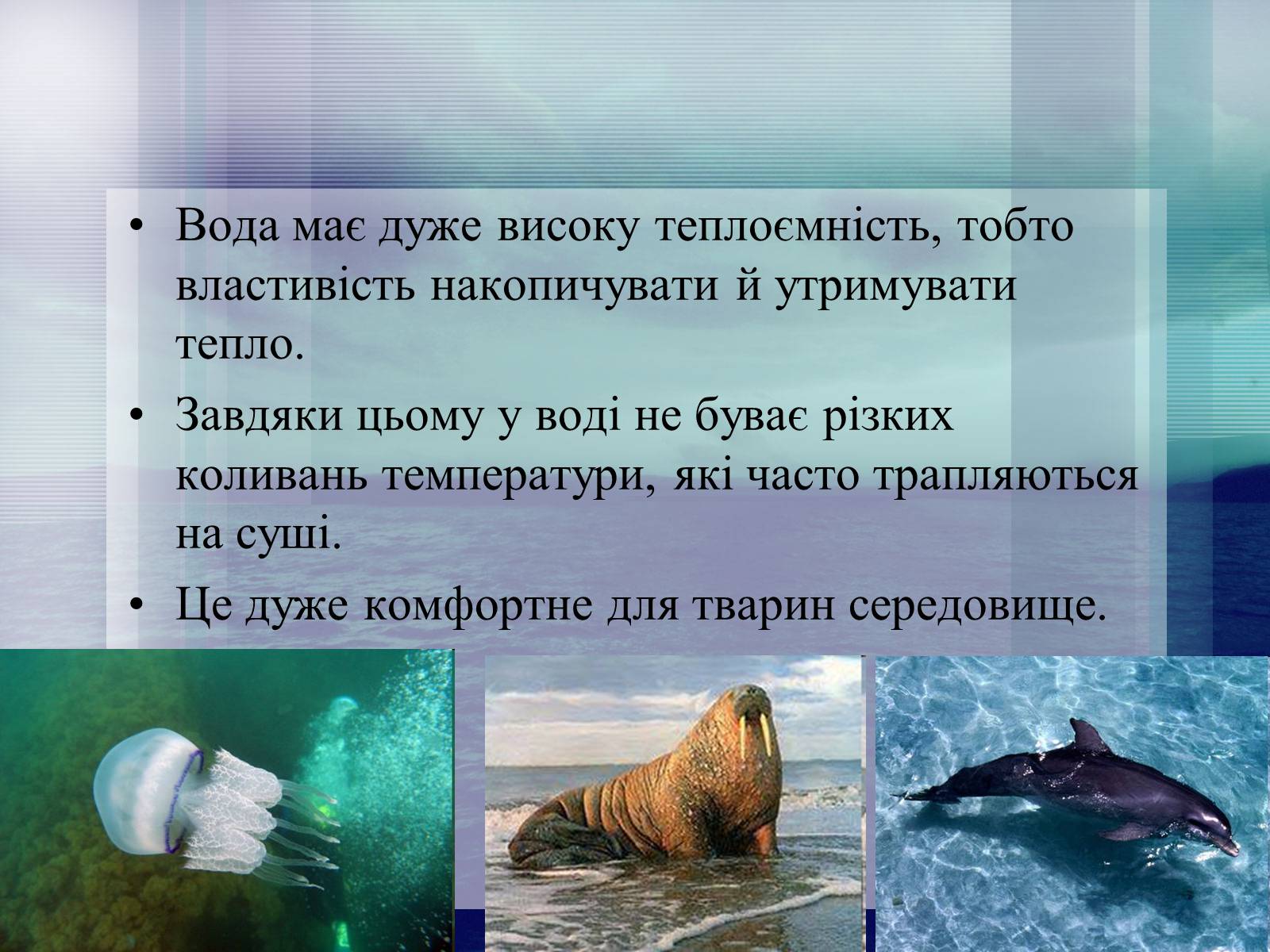 Презентація на тему «Середовища існування тварин» - Слайд #9 Презентація на тему «Середовища існування тварин» - Слайд #9
