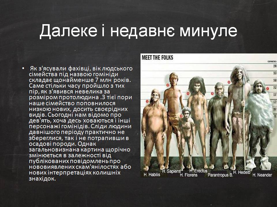 Презентація на тему «Еволюція людини» (варіант 2) - Слайд #3 Презентація на тему «Еволюція людини» (варіант 2) - Слайд #3