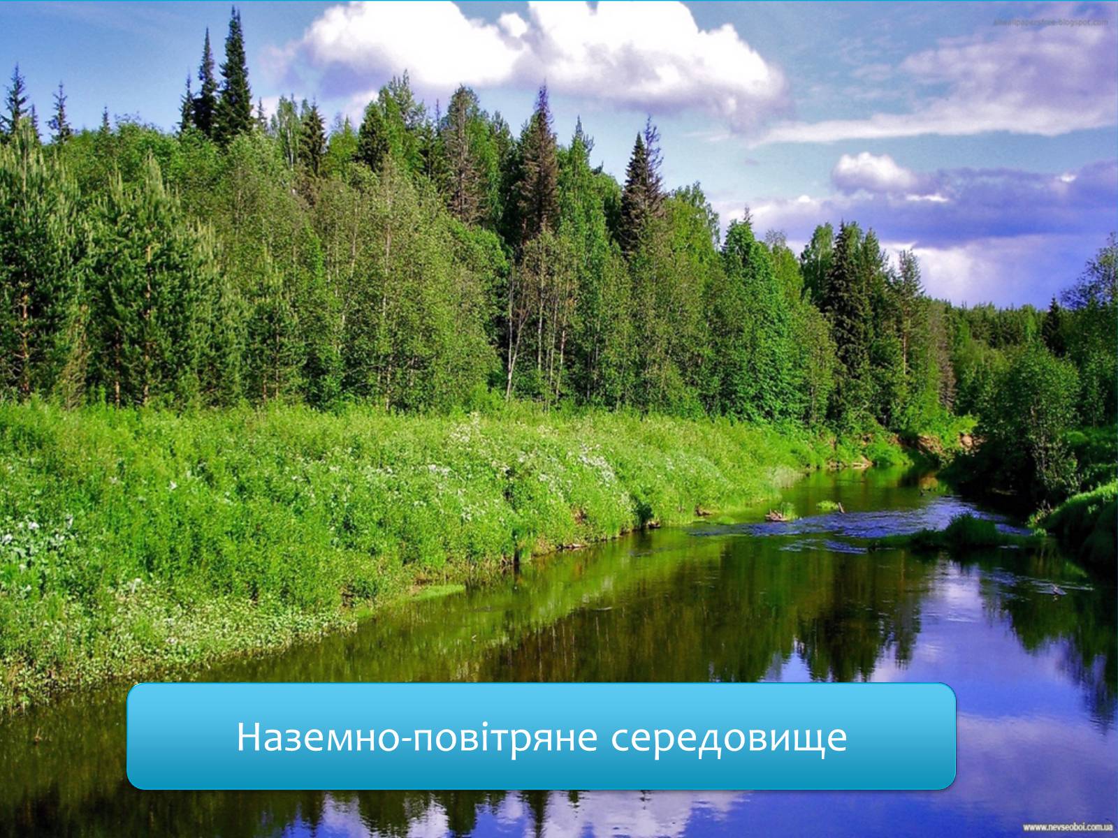 Презентація на тему «Наземно-повітряне середовище існування» (варіант 4) - Слайд #1 Презентація на тему «Наземно-повітряне середовище існування» (варіант 4) - Слайд #1