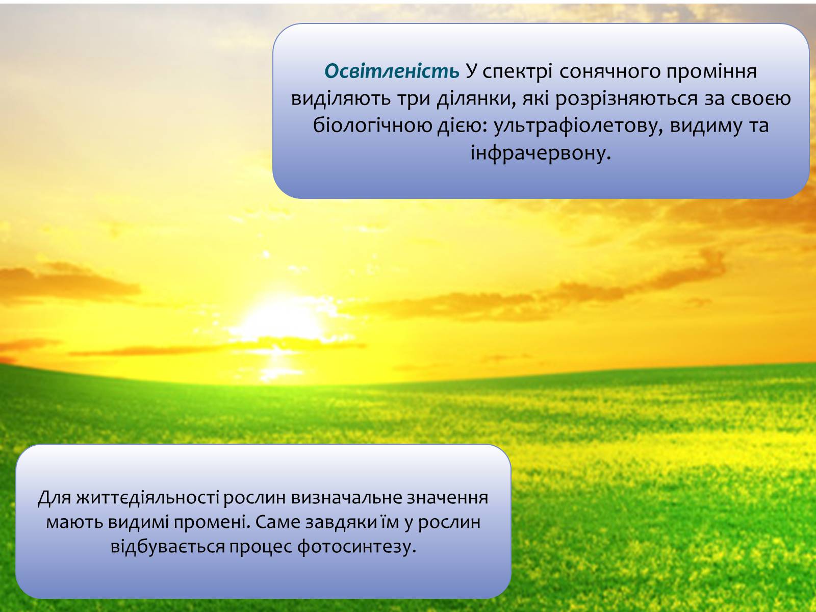 Презентація на тему «Наземно-повітряне середовище існування» (варіант 4) - Слайд #15 Презентація на тему «Наземно-повітряне середовище існування» (варіант 4) - Слайд #15