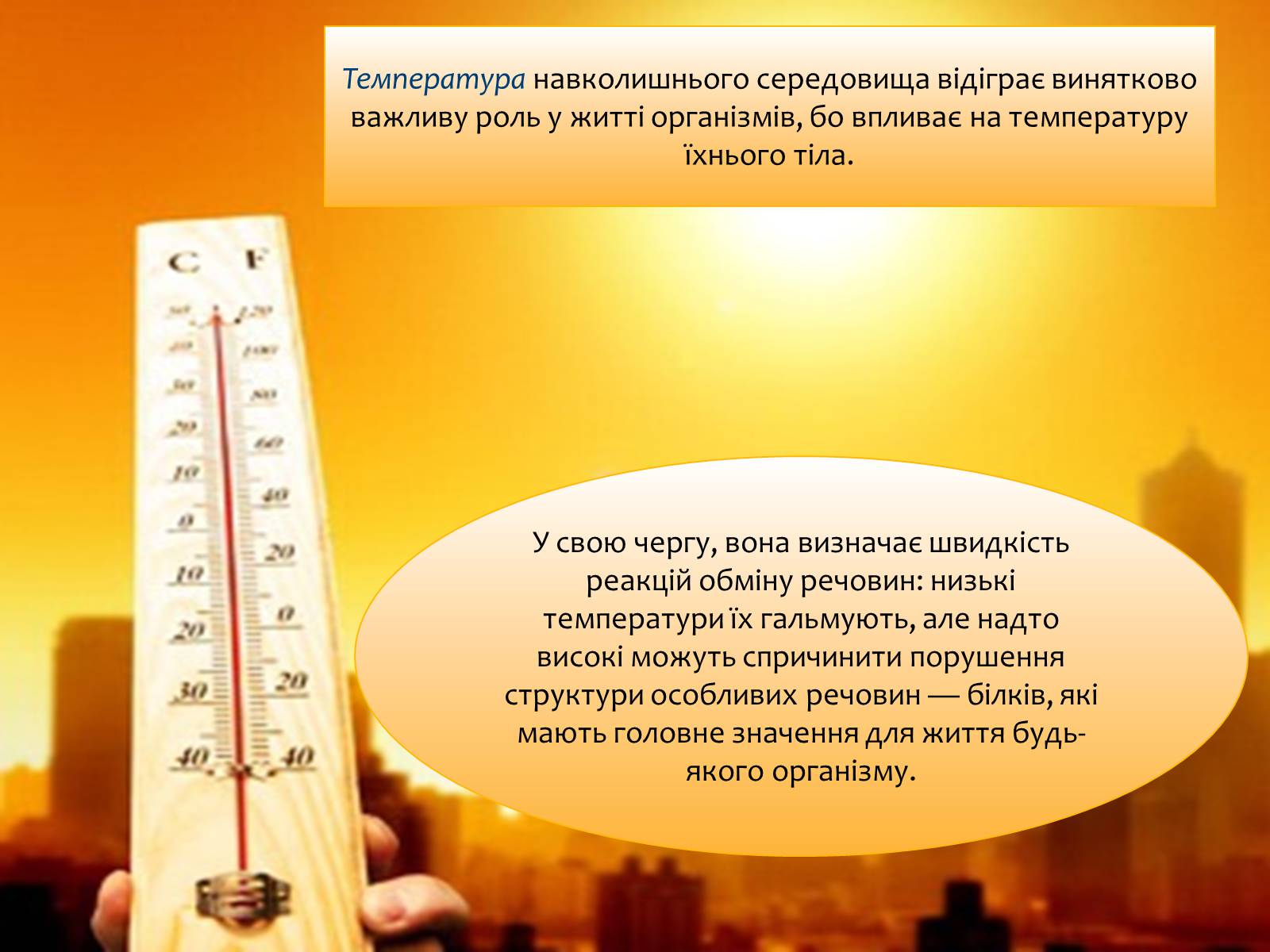 Презентація на тему «Наземно-повітряне середовище існування» (варіант 4) - Слайд #16 Презентація на тему «Наземно-повітряне середовище існування» (варіант 4) - Слайд #16