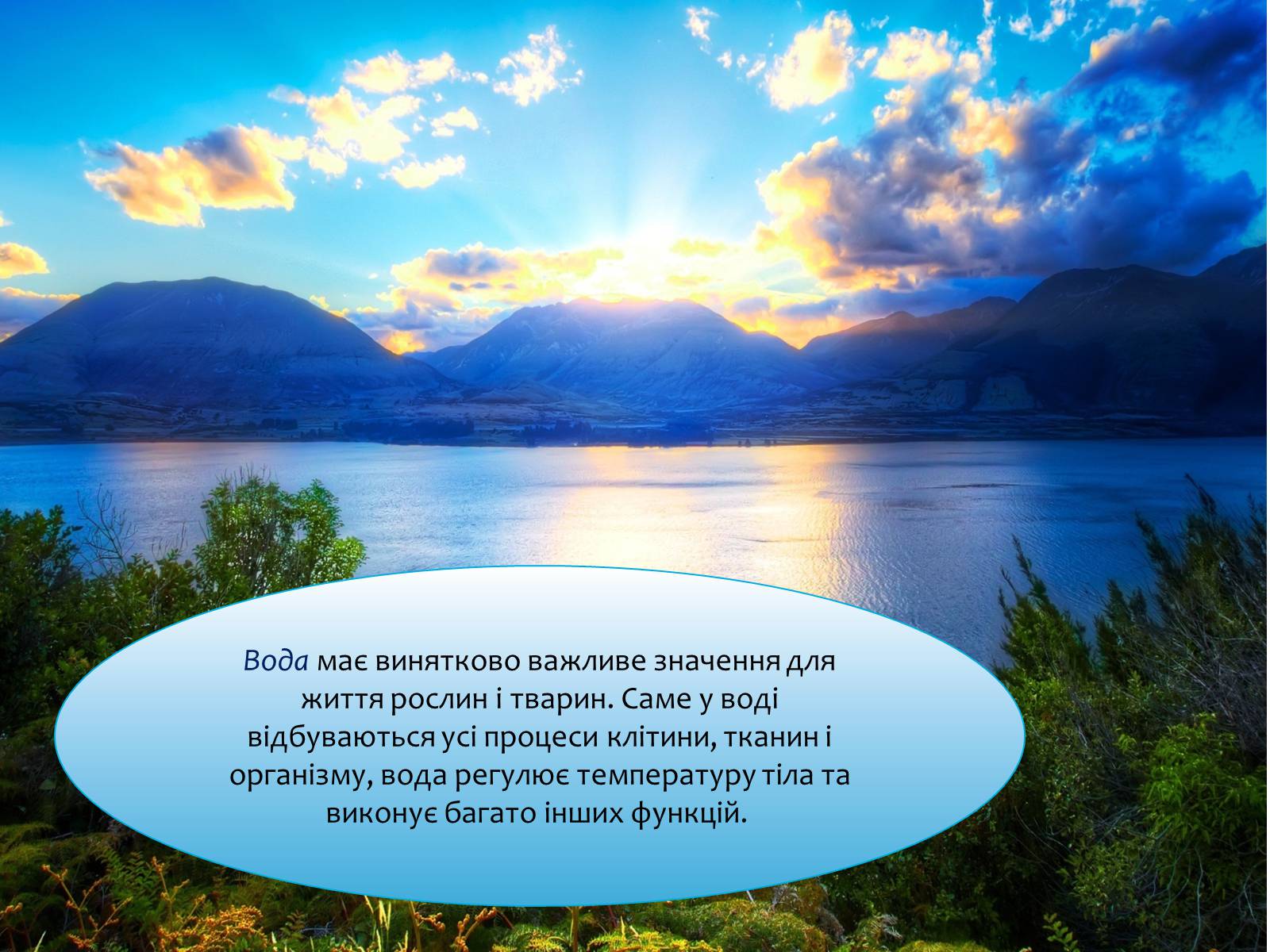 Презентація на тему «Наземно-повітряне середовище існування» (варіант 4) - Слайд #17 Презентація на тему «Наземно-повітряне середовище існування» (варіант 4) - Слайд #17