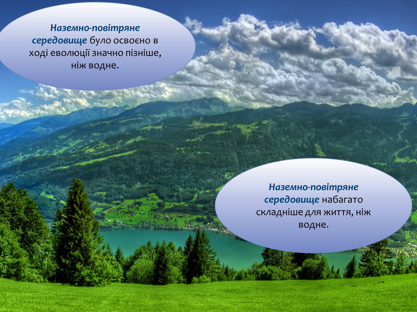 Презентація на тему «Наземно-повітряне середовище існування» (варіант 4) - Слайд #5 Презентація на тему «Наземно-повітряне середовище існування» (варіант 4) - Слайд #5