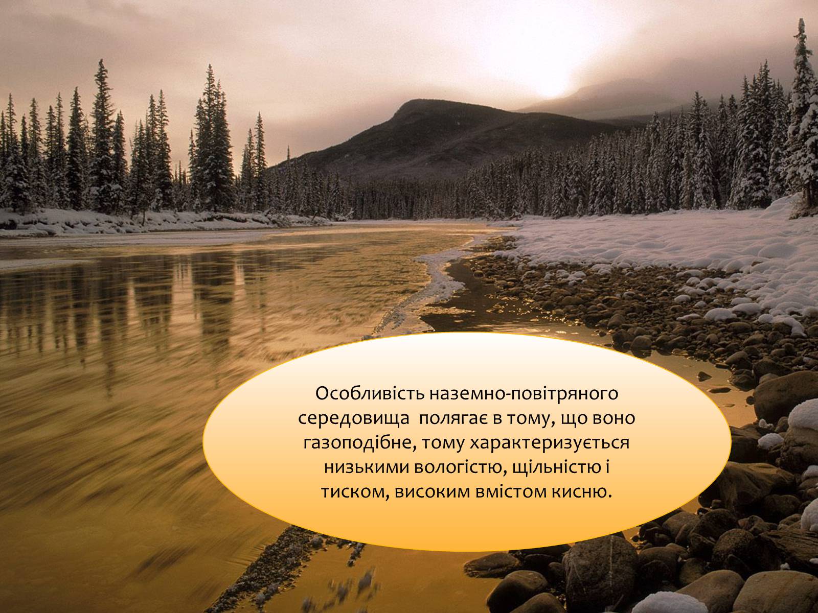 Презентація на тему «Наземно-повітряне середовище існування» (варіант 4) - Слайд #6 Презентація на тему «Наземно-повітряне середовище існування» (варіант 4) - Слайд #6