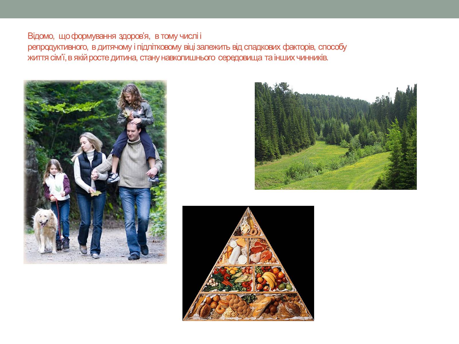 Презентація на тему «Репродуктивне здоров’я молоді» (варіант 1) - Слайд #5 Презентація на тему «Репродуктивне здоров’я молоді» (варіант 1) - Слайд #5