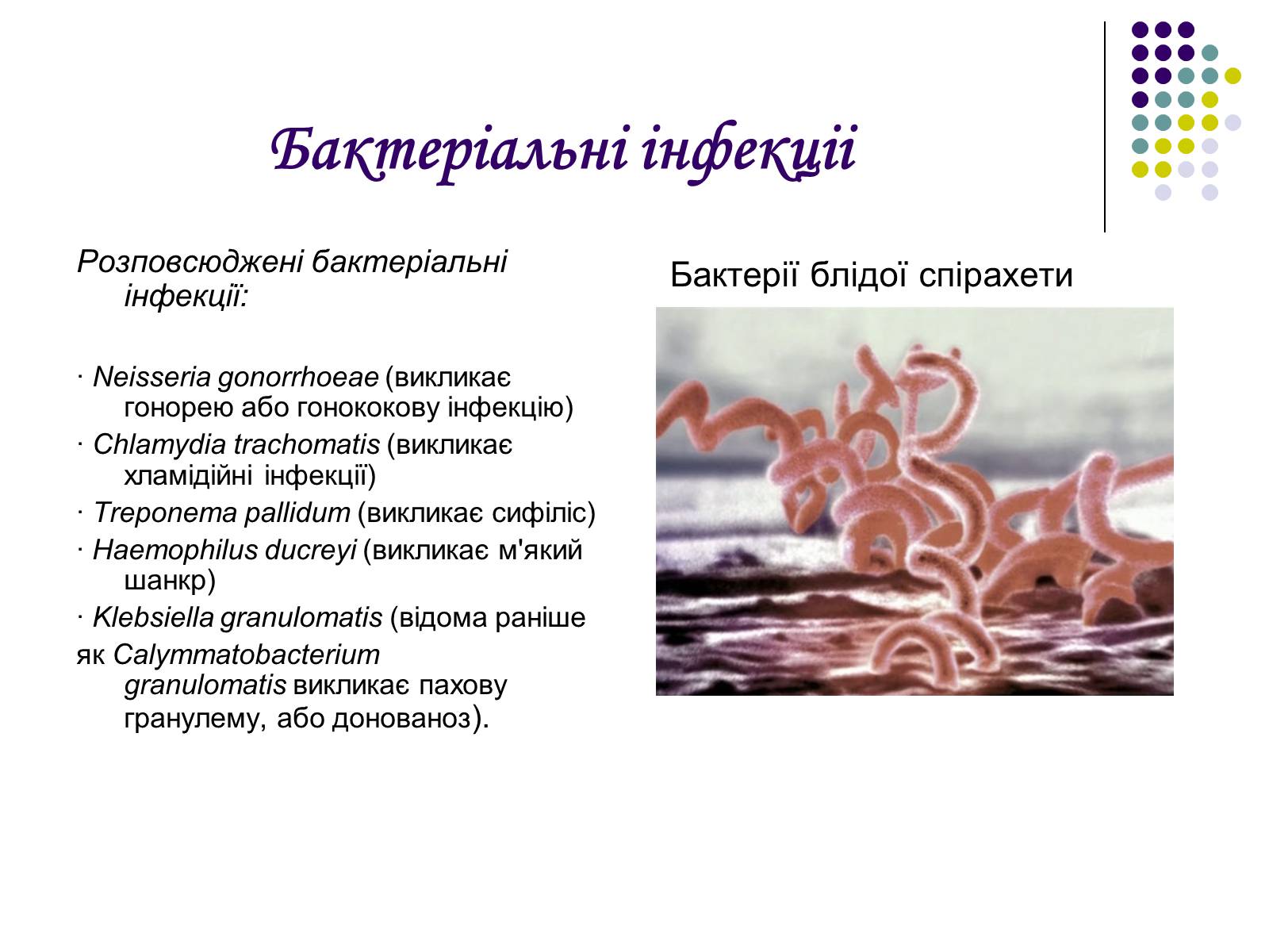 Презентація на тему «ВІЛ. СНІД. інфекції ІПСШ: шляхи передачі і методи захисту» (варіант 5) - Слайд #13 Презентація на тему «ВІЛ. СНІД. інфекції ІПСШ: шляхи передачі і методи захисту» (варіант 5) - Слайд #13