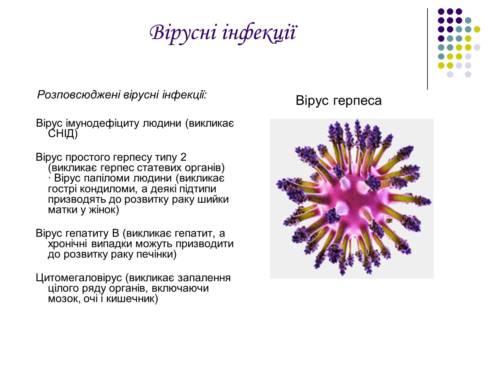 Презентація на тему «ВІЛ. СНІД. інфекції ІПСШ: шляхи передачі і методи захисту» (варіант 5) - Слайд #14 Презентація на тему «ВІЛ. СНІД. інфекції ІПСШ: шляхи передачі і методи захисту» (варіант 5) - Слайд #14