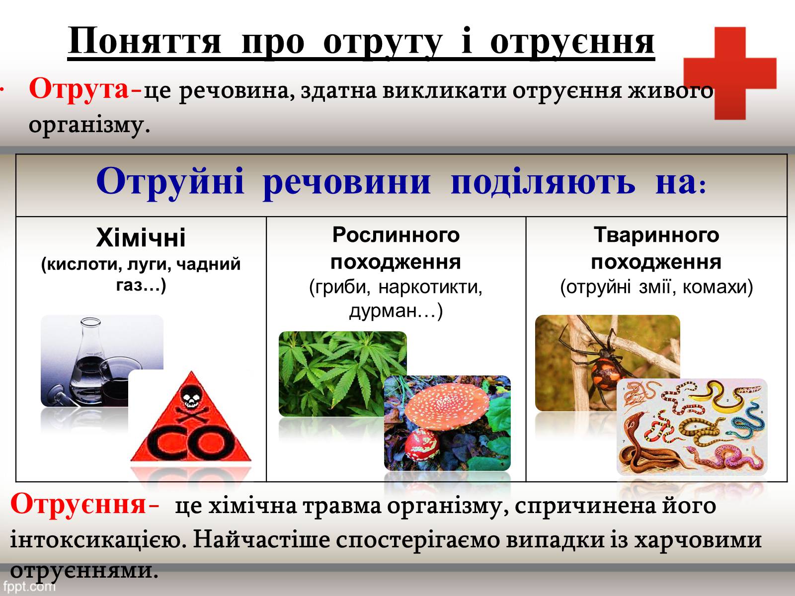 Презентація на тему «Перша допомога при отруєннях» (варіант 1) - Слайд #3 Презентація на тему «Перша допомога при отруєннях» (варіант 1) - Слайд #3