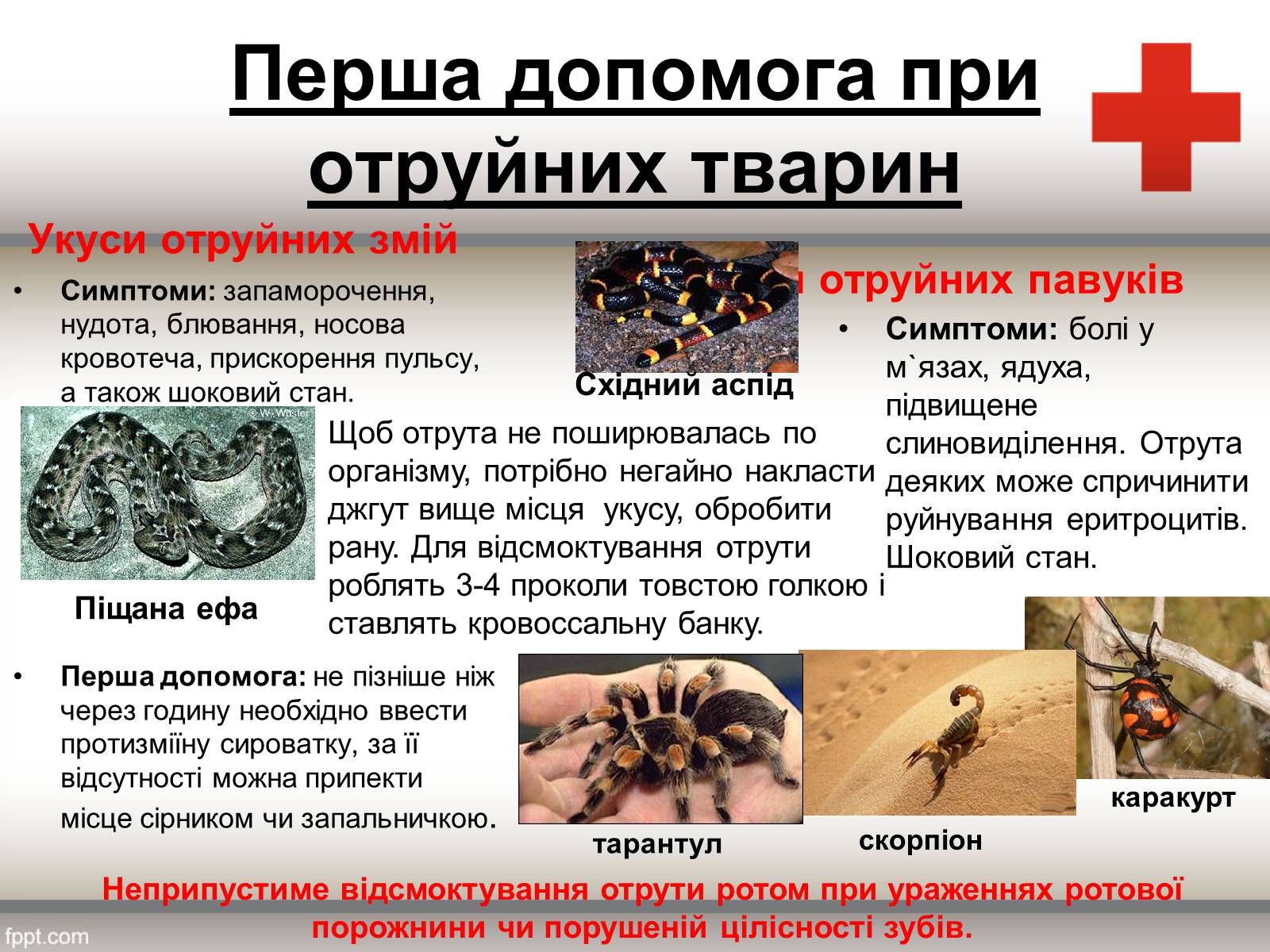 Презентація на тему «Перша допомога при отруєннях» (варіант 1) - Слайд #8 Презентація на тему «Перша допомога при отруєннях» (варіант 1) - Слайд #8