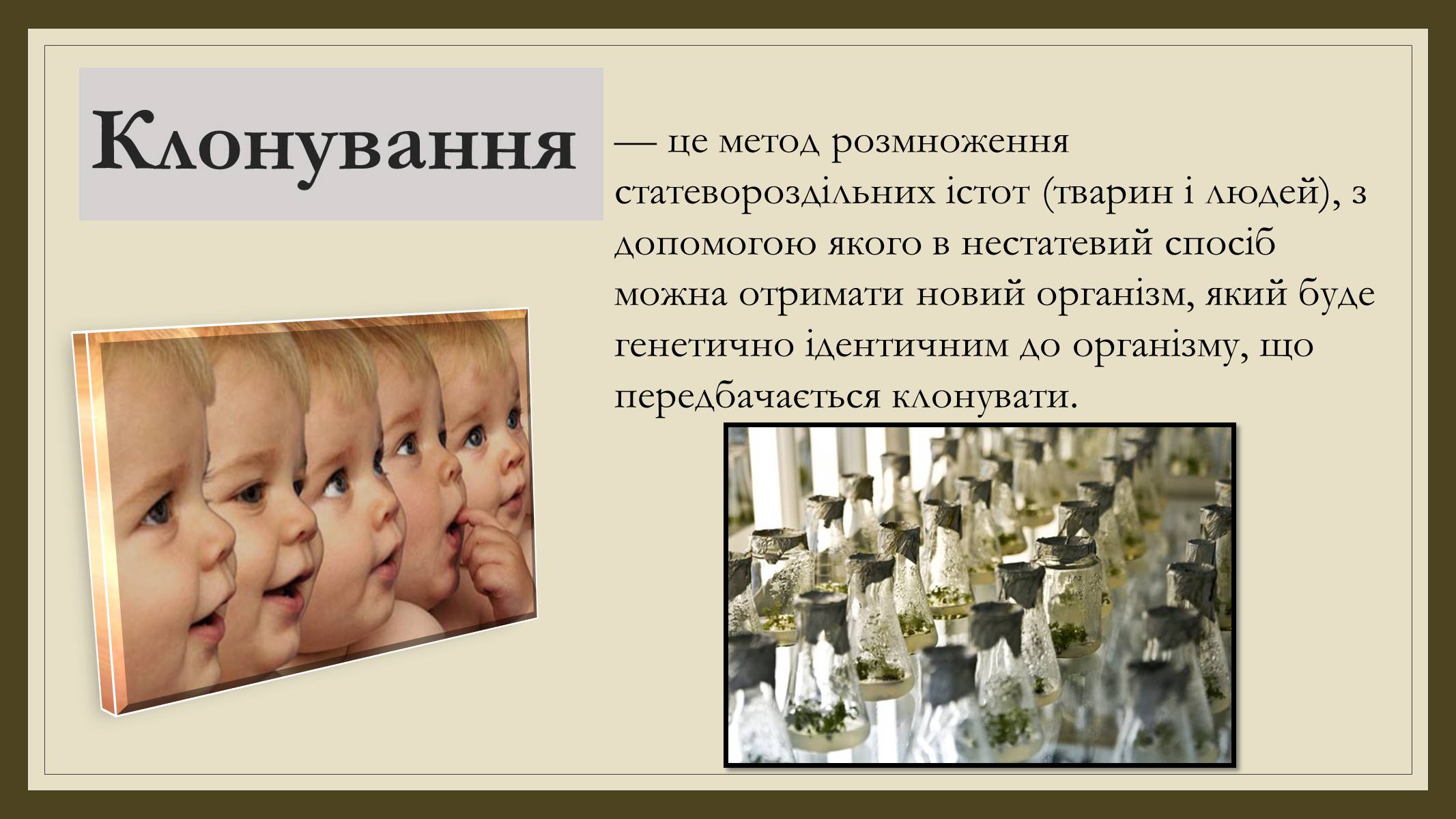 Презентація на тему «Ембріотехнології та стовбурові клітини. Клонування» - Слайд #9 Презентація на тему «Ембріотехнології та стовбурові клітини. Клонування» - Слайд #9