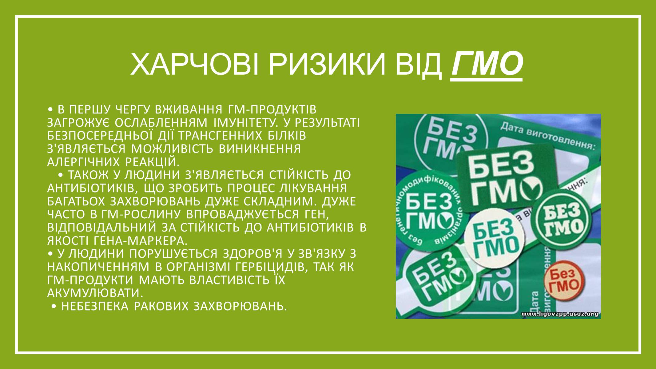 Презентація на тему «ГМО» (варіант 5) - Слайд #7 Презентація на тему «ГМО» (варіант 5) - Слайд #7