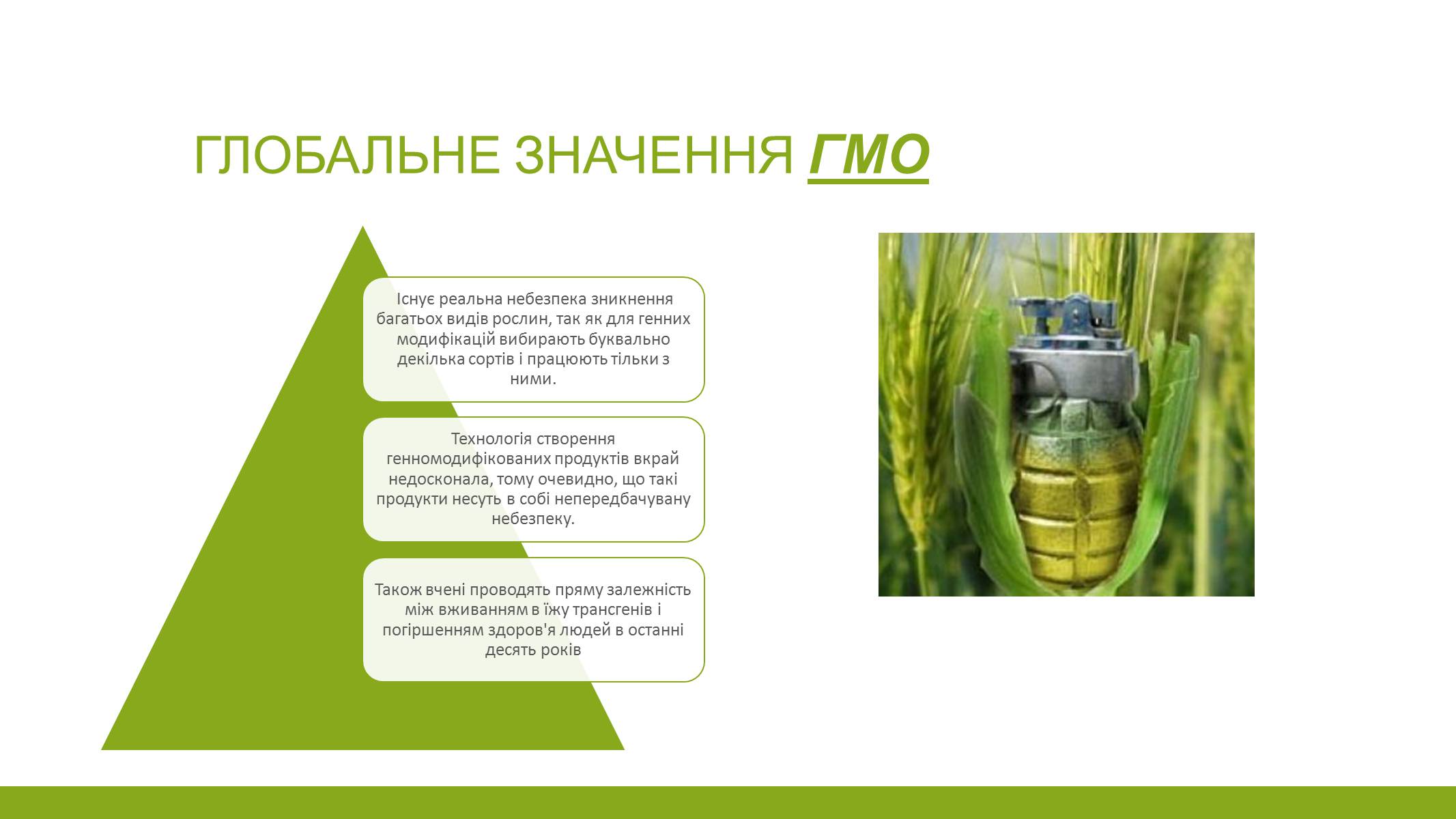 Презентація на тему «ГМО» (варіант 5) - Слайд #8 Презентація на тему «ГМО» (варіант 5) - Слайд #8