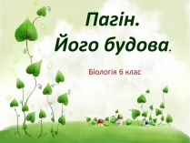 Презентація на тему «Пагін. Його будова»