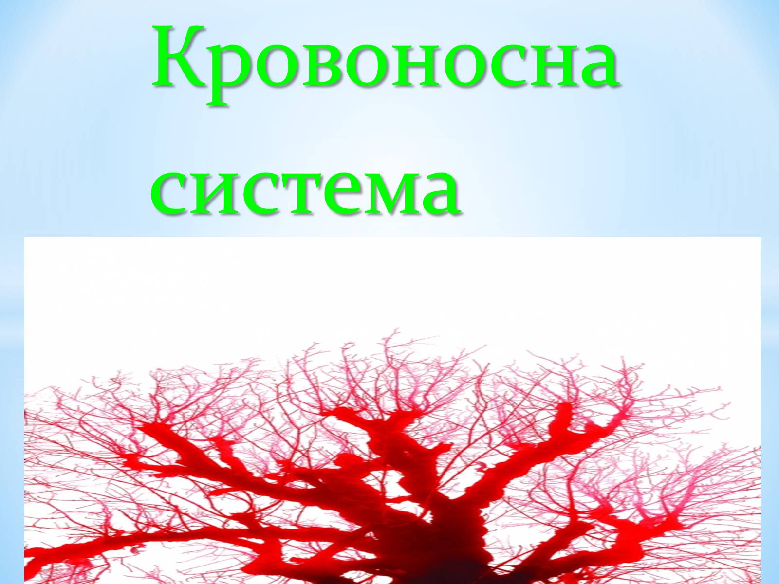 Презентація на тему «Кровоносна система» (варіант 1) - Слайд #1 Презентація на тему «Кровоносна система» (варіант 1) - Слайд #1